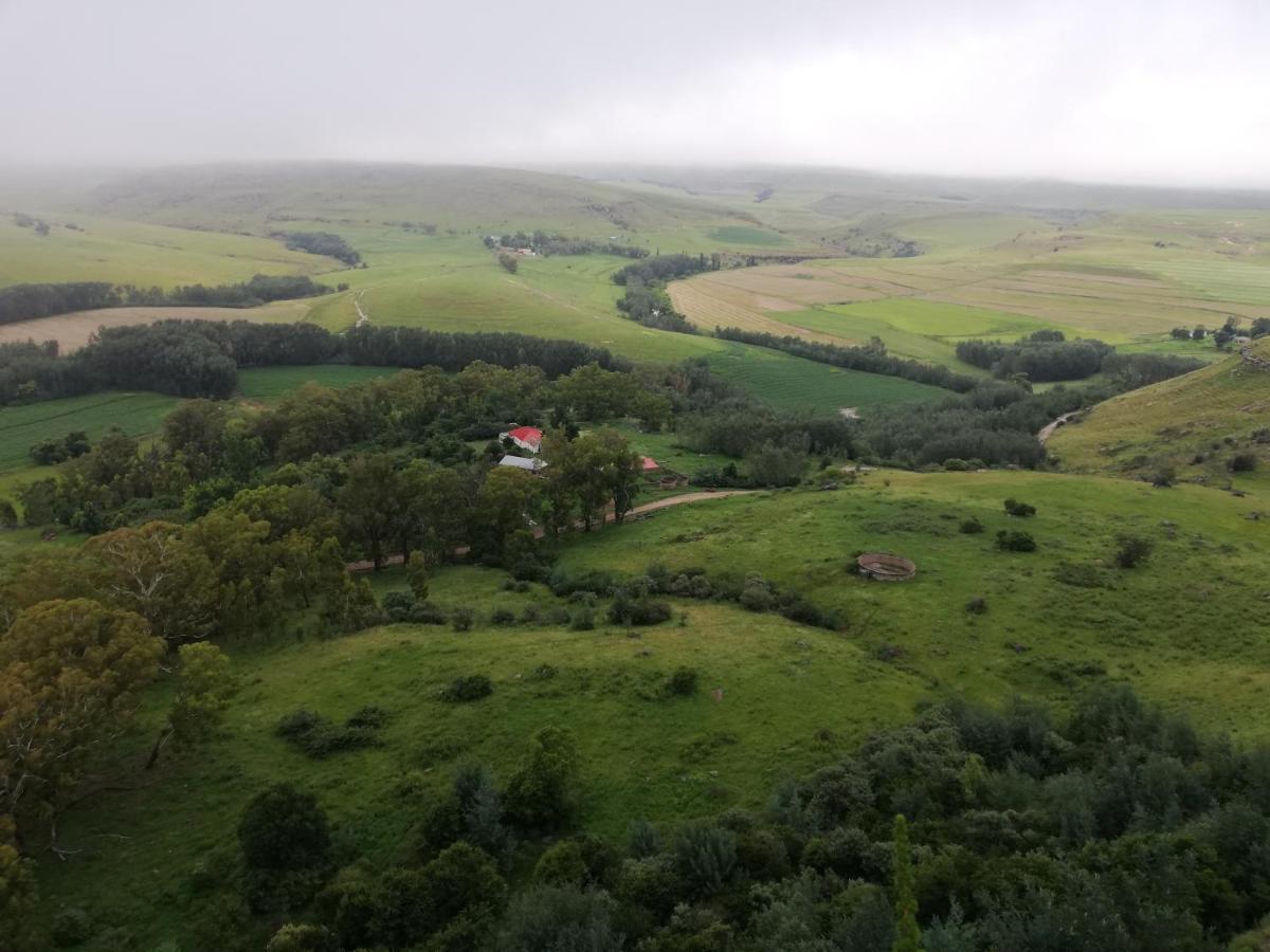Sheeprun Farmstay Maclear Eksteriør billede