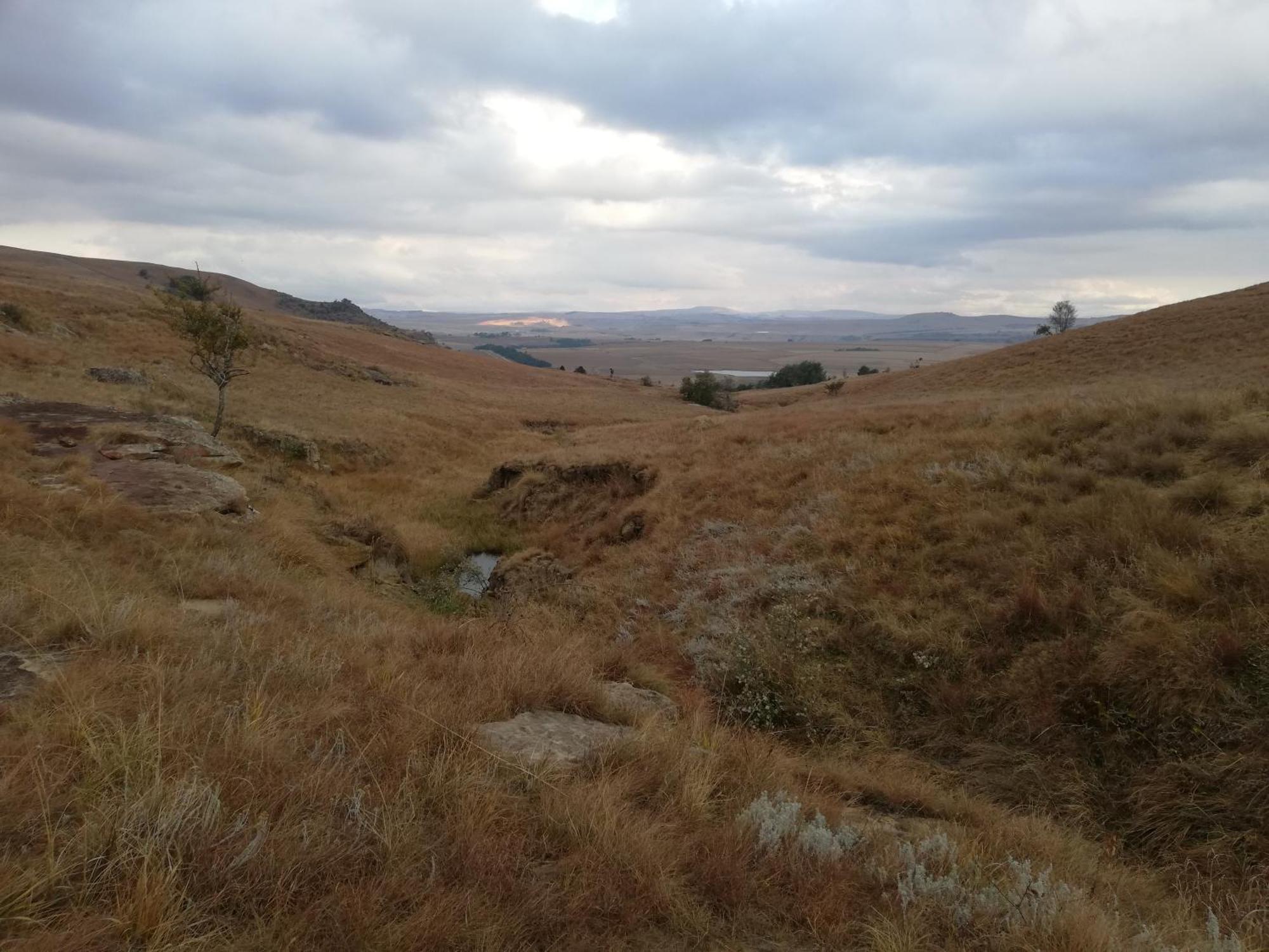 Sheeprun Farmstay Maclear Eksteriør billede