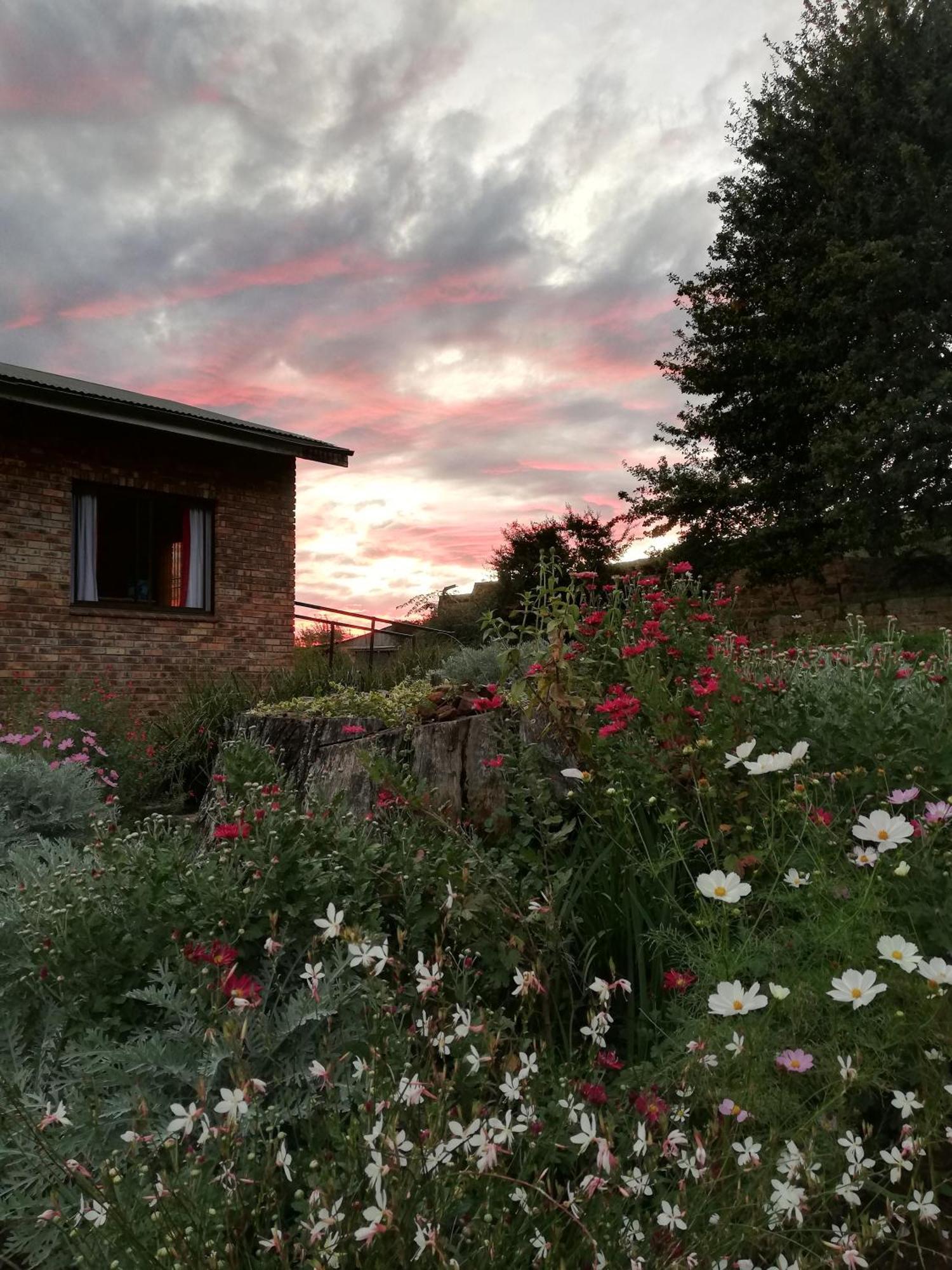 Sheeprun Farmstay Maclear Eksteriør billede
